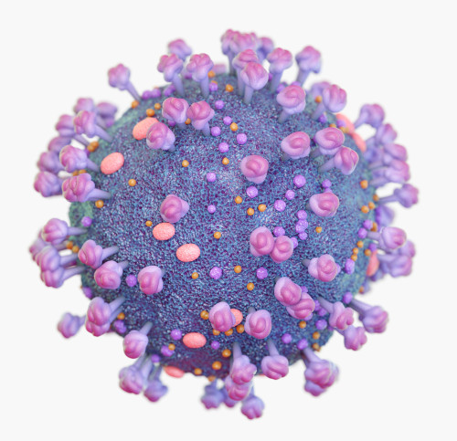 Feline Immunodeficiency Virus Core Protein