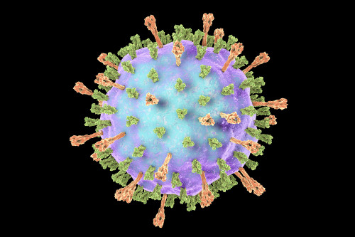 Mumps Virus Nucleoprotein (Strain L-Zagreb)