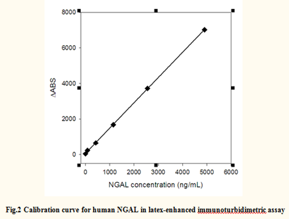 Anti Neutrophil Gelatinase-associated Lipocalin (NGAL) mAb (CSB-DA001AmN①)