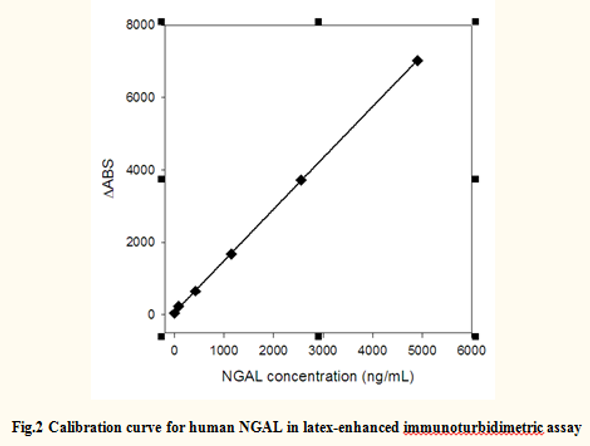 Anti Neutrophil Gelatinase-associated Lipocalin (NGAL) mAb (CSB-DA001AmN③)