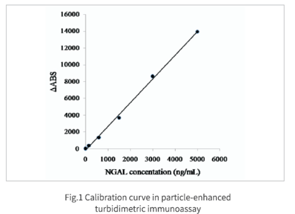 Anti Neutrophil Gelatinase-Associated Lipocalin (NGAL) pAb