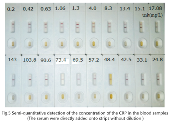 Anti C-reactive Protein mAb (CSB-DA402GmN②)