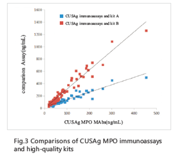 Anti Myeloperoxidase (MPO) mAb (CSB-DA406HmN④)
