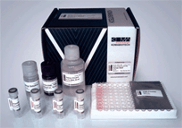 Mouse TNF-alpha High Sensitivity ELISA Kit