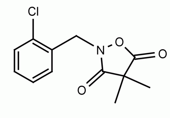 5-Ketoclomazone (DXP Synthase Inhibitor)