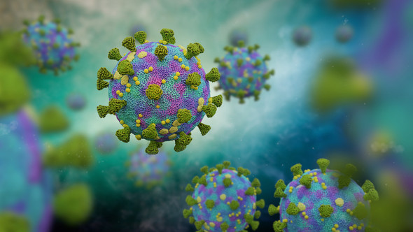 Human Coronavirus 229E Spike Glycoprotein (S1), His-Tag (HEK293)