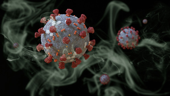 Human Coronavirus NL63 Spike Glycoprotein (S1), His-Tag (HEK293)