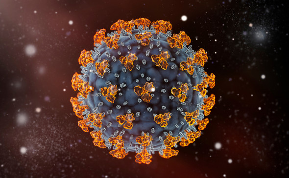 Human Coronavirus OC43 Spike Glycoprotein (S1), His-Tag (HEK293)