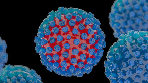 Herpes Simplex Virus 2 Antigen