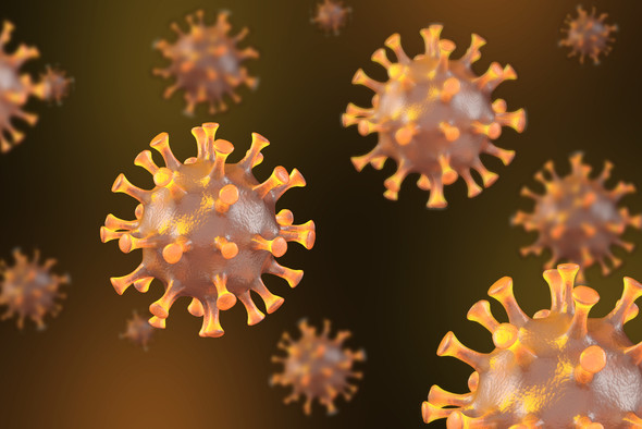 Influenza B [B/Phuket/3073/2013 (B/Yamagata lineage) -like virus] Neuraminidase (NA), His-Tag