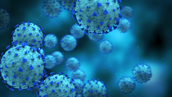 MERS Coronavirus Spike Glycoprotein (S1), Camel Fc-Tag (HEK293)