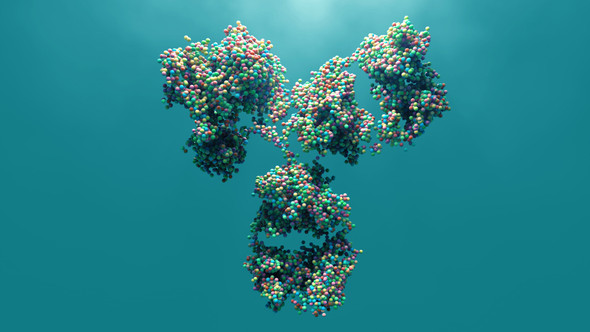 Mouse Anti-Clostridium Difficile Toxin A Antibody (TA38)