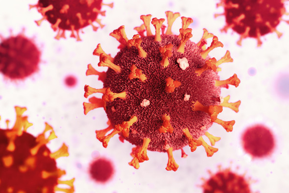 SARS Coronavirus Spike Glycoprotein (S1) Mosaic (N-Term) (E. coli)