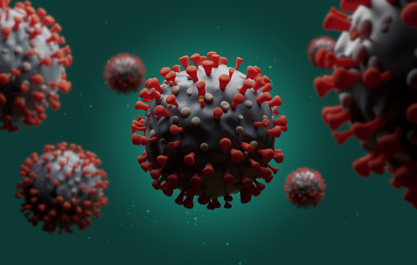 SARS-CoV-2 (B.1.351/501.V2) Stabilized Spike Glycoprotein (Full-Length), His-Strep-Tag (HEK293)