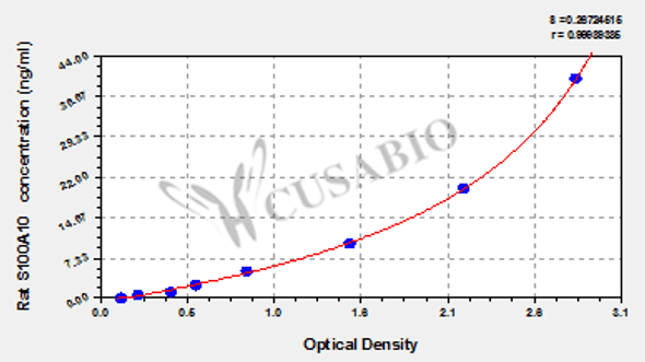 Rat Sodium channel subunit beta-2 (SCN2B) ELISA kit