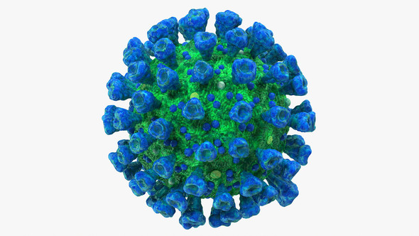 Astrovirus Antigen (Type 1)