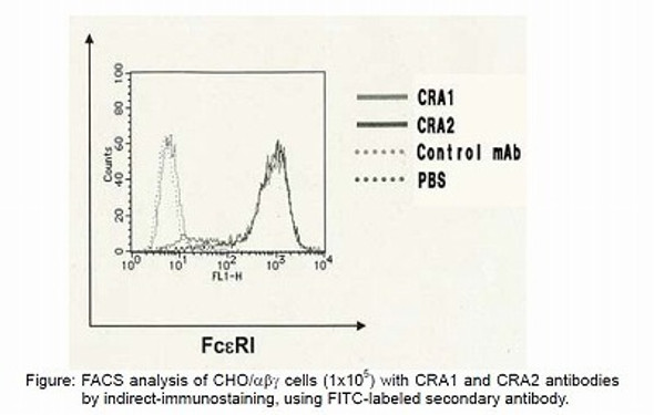 Anti High Affinity Immunoglobulin Epsilon Receptor Subunit Alpha (FCER1A) mAb (Clone CRA1, Biotin-conjugated)