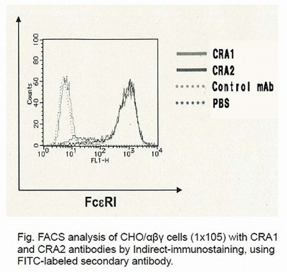 Anti High Affinity Immunoglobulin Epsilon Receptor Subunit Alpha (FCER1A) mAb (Clone CRA1, Fluorescein-conjugated)