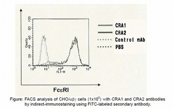Anti High Affinity Immunoglobulin Epsilon Receptor Subunit Alpha (FCER1A) mAb (Clone CRA2)