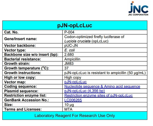 pJN-opLcLuc (Codon-optimized Firefly Luciferase)