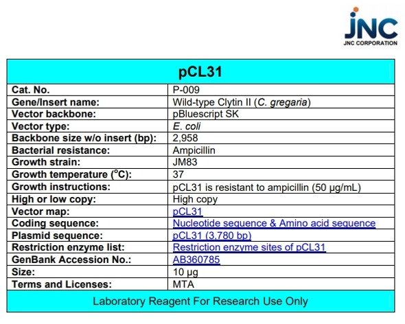 pCL31 (Wild-type Clytin II)