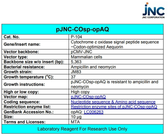 pJNC-COsp-opAQ (Cytochrome c oxidase signal peptide sequence-Codon-optimized Aequorin)