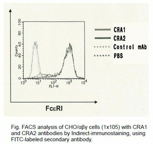 Anti High Affinity Immunoglobulin Epsilon Receptor Subunit Alpha (FCER1A) mAb (Clone CRA2, Fluorescein-conjugated)