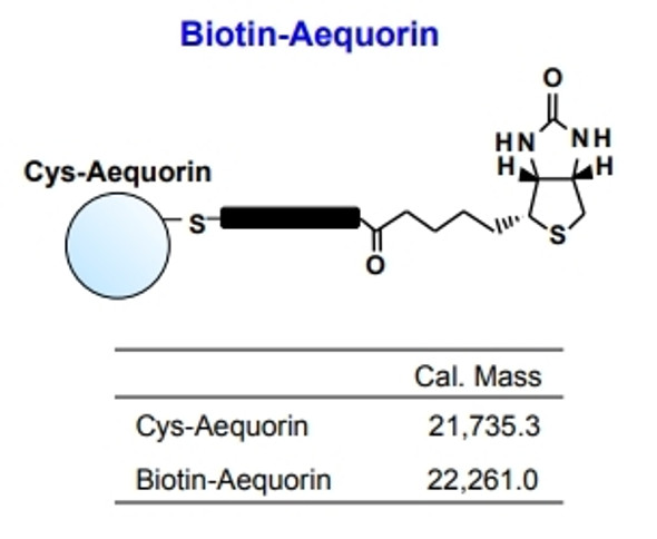 Biotin-Aequorin