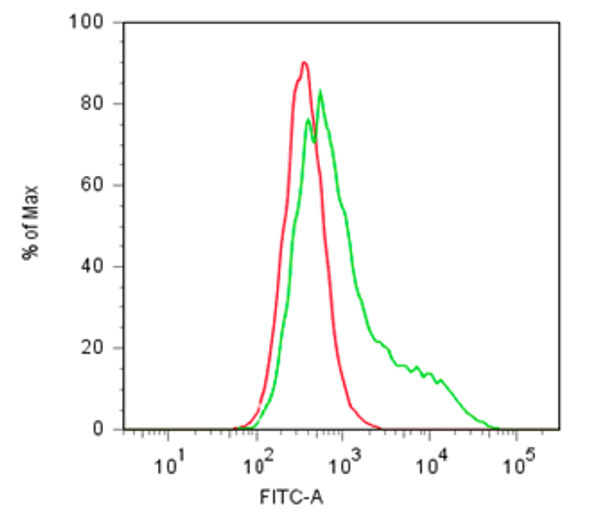 Anti Semaphorin 4B (SEMA4B) mAb (Clone TK-2)