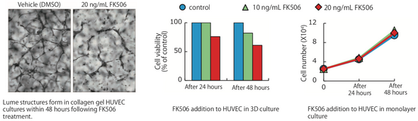 Atelocollagen, DMEM Low Glucose