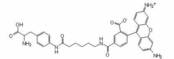 Site-Directed Fluorescence Labeling, CR110-X-AF (amber), CloverDirect