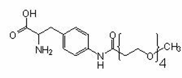 Site-Directed Unnatural Mutagenesis, PEG4-AF (CGGG), CloverDirect