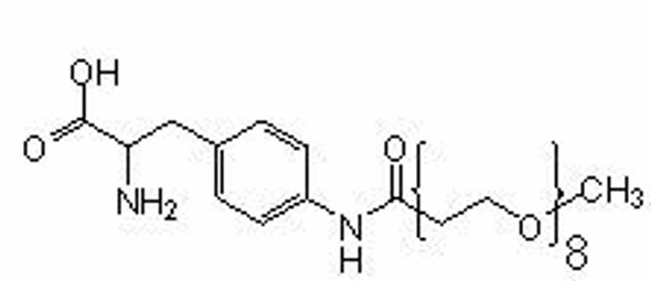 Site-Directed Unnatural Mutagenesis, PEG8-AF (CGGG), CloverDirect