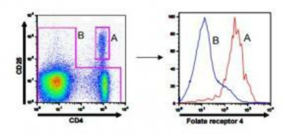 Anti IZUMO1 Receptor, JUNO (IZUMO1R/FOLR4/Treg marker) mAb (Clone 12A5)