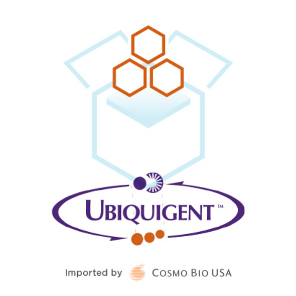 Di-ubiquitin (K27-linked) [untagged]