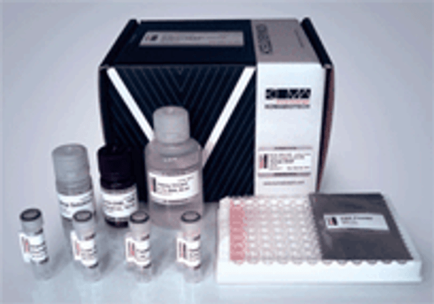 Mouse IFN-gamma High Sensitivity ELISA Kit