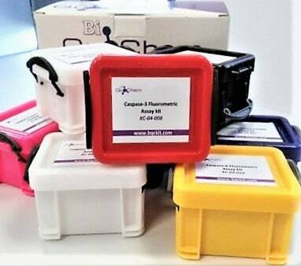 Caspasa 3 Colorimetric Assay Kit