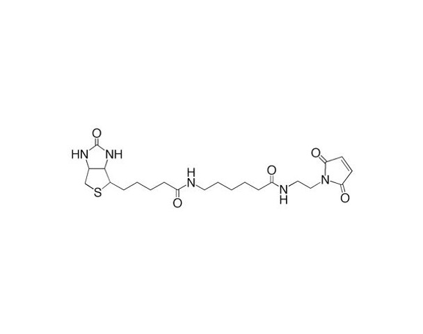 Biotin (Long Arm) Maleimide