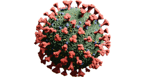 Human Coronavirus HKU1 Spike Glycoprotein (Full-Length), Sheep Fc-Tag (HEK293)