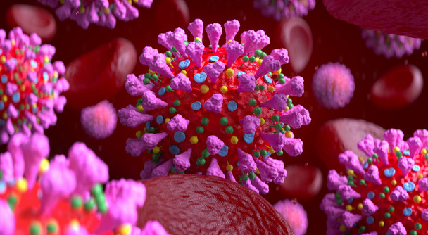 Human Coronavirus HKU1 Spike Glycoprotein (S1), His-Tag (HEK293)
