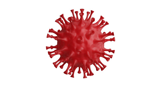 Influenza A [A/Hawaii/70/2019 (H1N1) pdm09-like virus] Hemagglutinin (HA), His-Tag