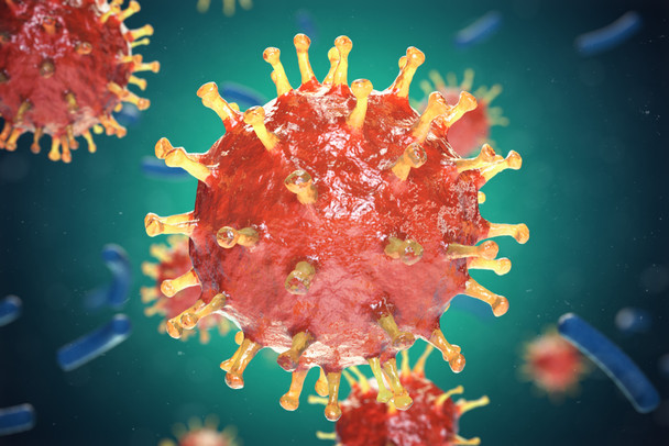 Influenza A H1N1 [A/New Cal/20/99] Viral Lysate