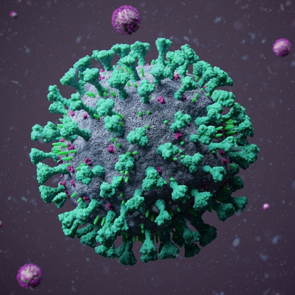 Influenza B [B/Beijing/184/93] Nucleoprotein