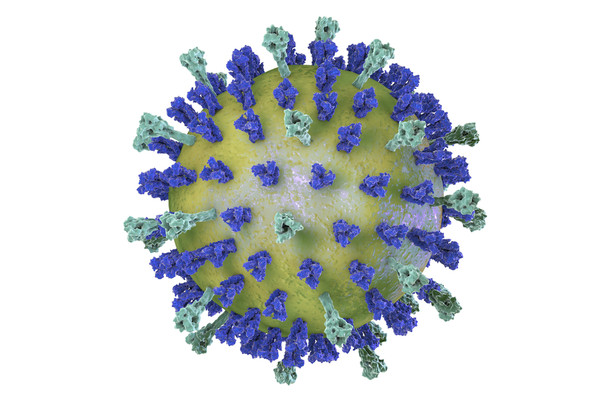 Lassa Fever Virus GP2 Protein, Human Fc-Tag