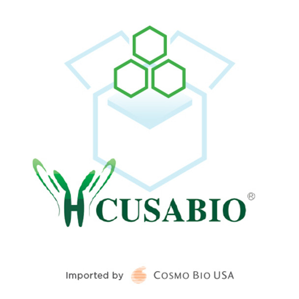 Human anti-Endomysial antibody (EMA) (IgA) ELISA kit