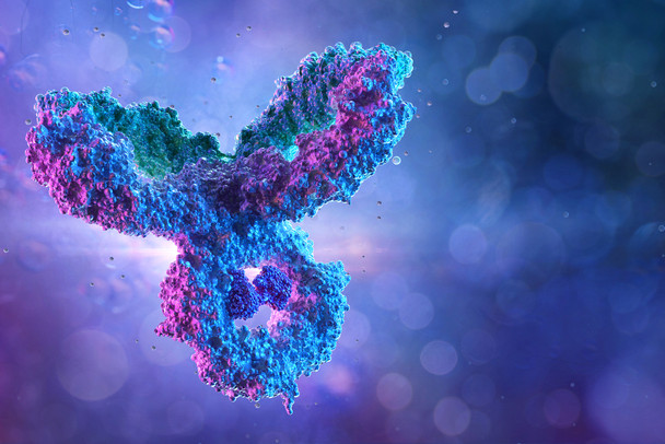 Mouse Anti-Nipah Virus Glycoprotein G Antibody (AE6)