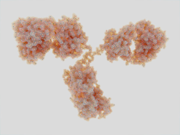 Mouse Anti-Porcine Coronavirus Spike Antibody (5B4)