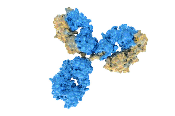 Mouse IgG2a Isotype Control Antibody (HOPC-1)