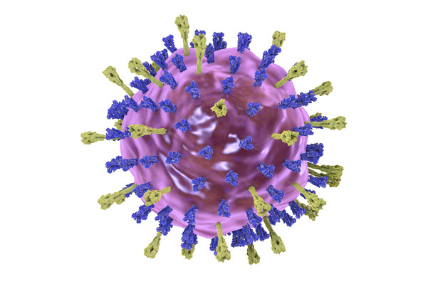 Mumps Virus Lysate