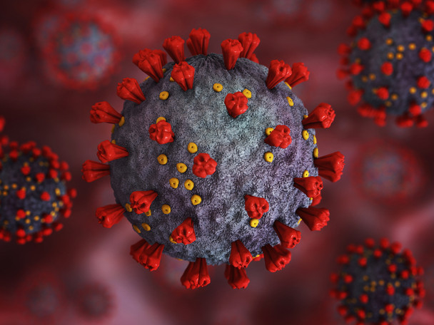 SARS Coronavirus Spike Glycoprotein (S2) Mosaic (C-Term) (E. coli)